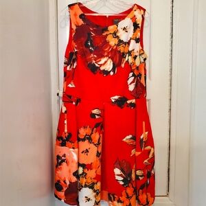 Multiple Color Dress